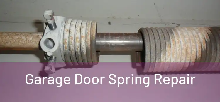  Garage Door Spring Repair 